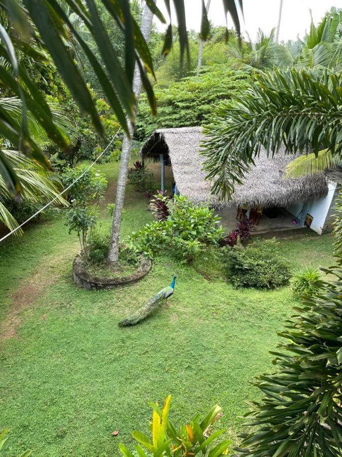 Hiru Villa แทนกาลเล ภายนอก รูปภาพ