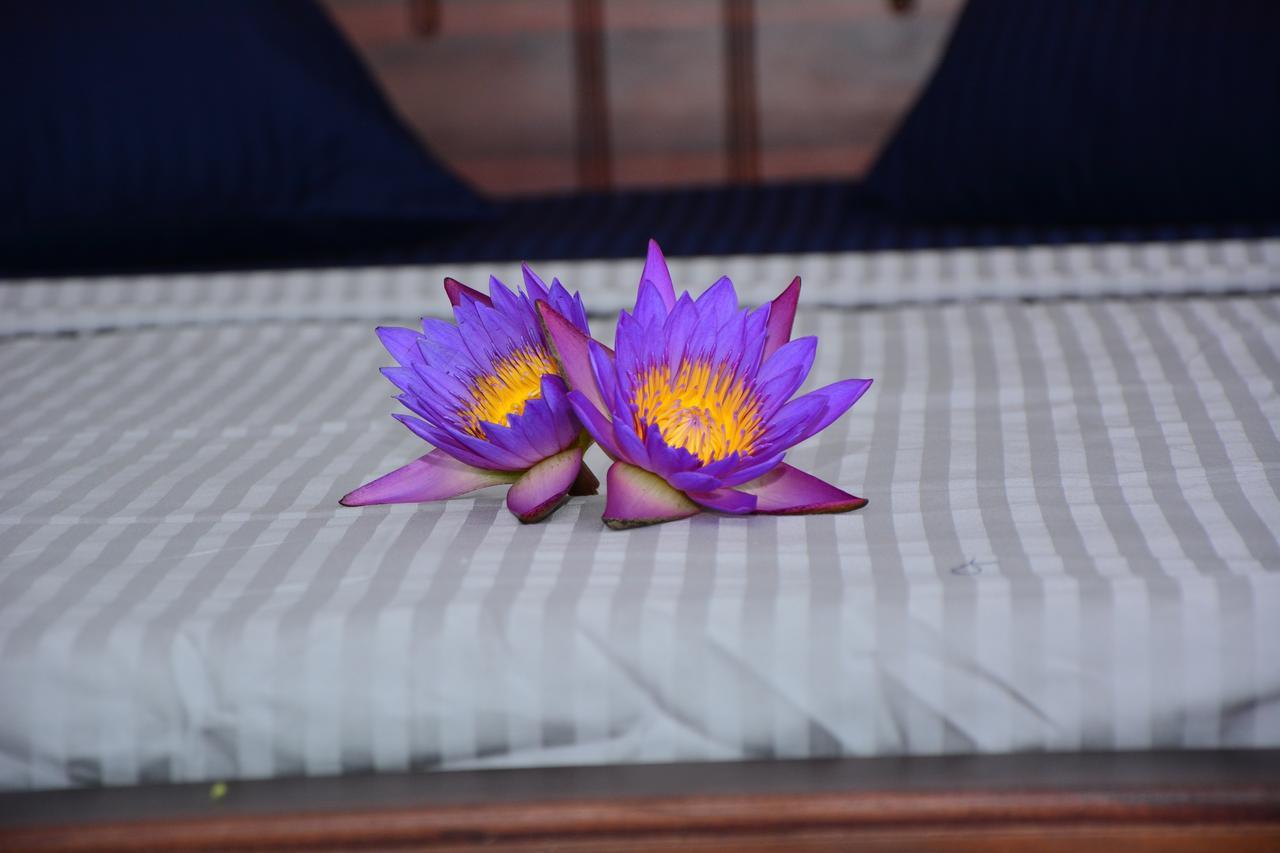 Hiru Villa แทนกาลเล ภายนอก รูปภาพ