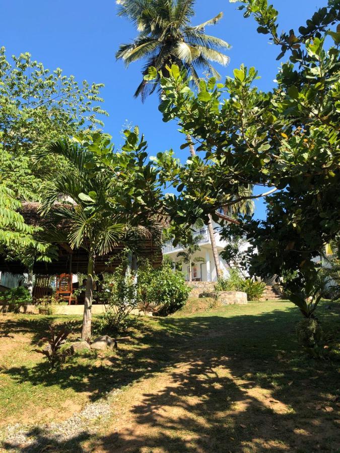 Hiru Villa แทนกาลเล ภายนอก รูปภาพ